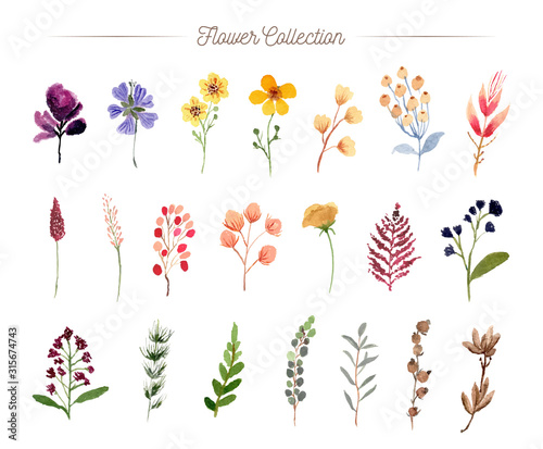 hand painted flower watercolor collection