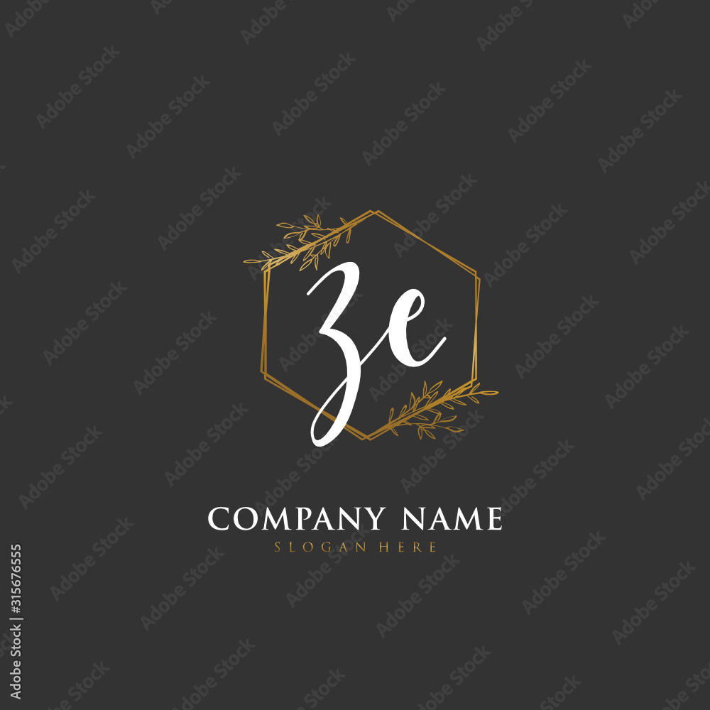 Handwritten initial letter Z E ZE for identity and logo. Vector logo template with handwriting and signature style. Handwritten initial letter Z E ZE for identity and logo. Vector logo template with handwriting and signature style.