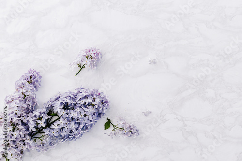 Spring blooming lilacs on a marble background