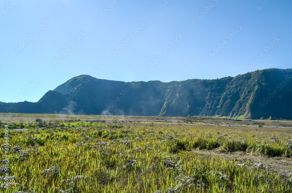 Fototapeta premium Landscape view of Bromo Savannah, Bromo Mountain, Bromo Tengger Semeru National Park, East Java, indonesia