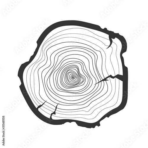 Vector black tree rings. Cross section of the trunk isolated on white background. Wooden stump.