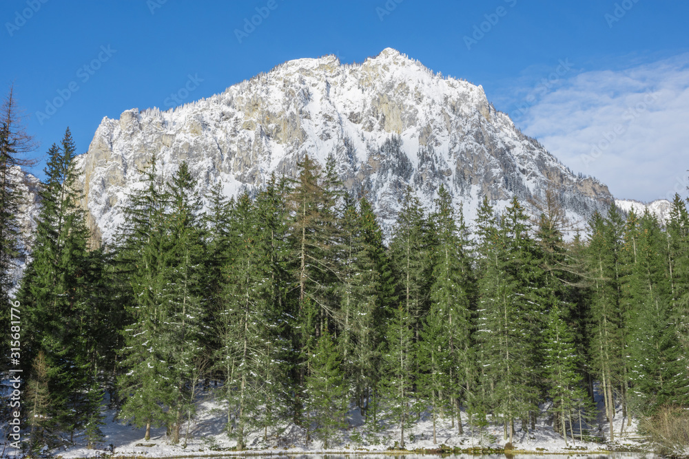 Detail of mountain face with rock, snow and trees near Green lake (Gruner see) in sunny winter day. Famous tourist destination for walking and trekking in Styria region, Austria