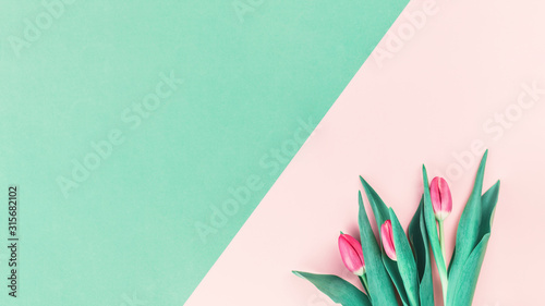 Bouquet of fresh pink tulips on pink and mint neo green background. Flat lay with copy space, Birthday gift. Valentines 8 March Women's or Mothers Day celebration greeting card or minimal banner