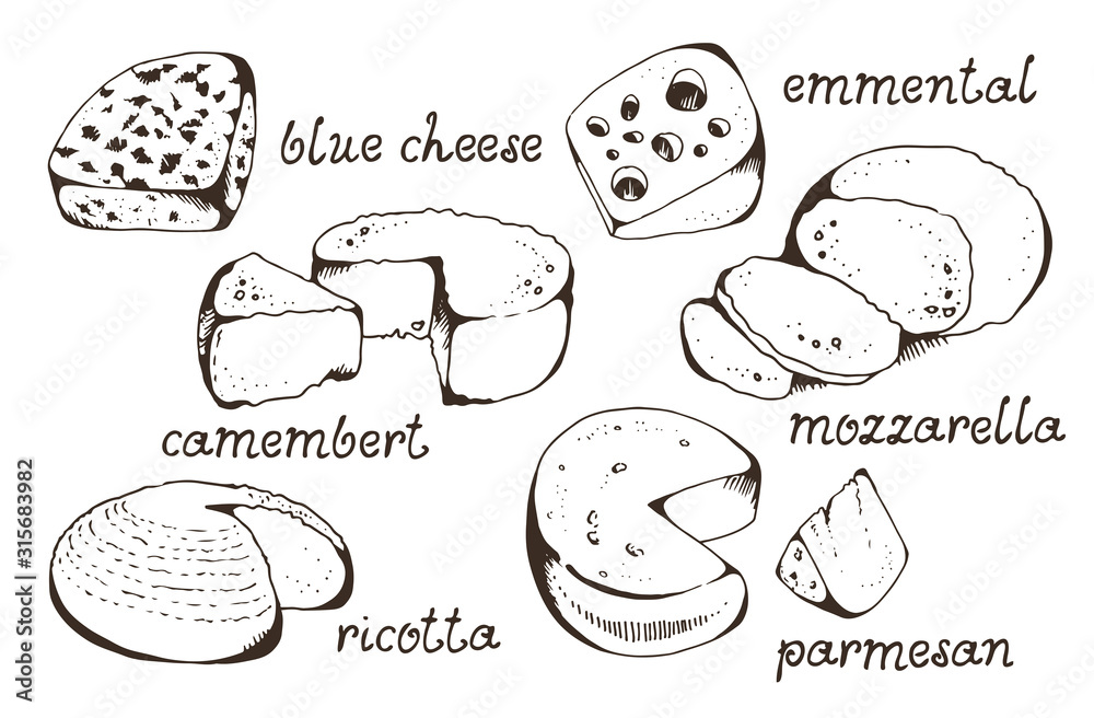 Cheese collection, vector set, isolated on white background, blue cheese, emmental, camembert, mozzarella, ricotta, parmesan with hamd drawn text