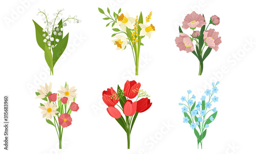 Spring Flowers Growth Vector Set. Colorful Garden and Wild Plants Growing in Spring