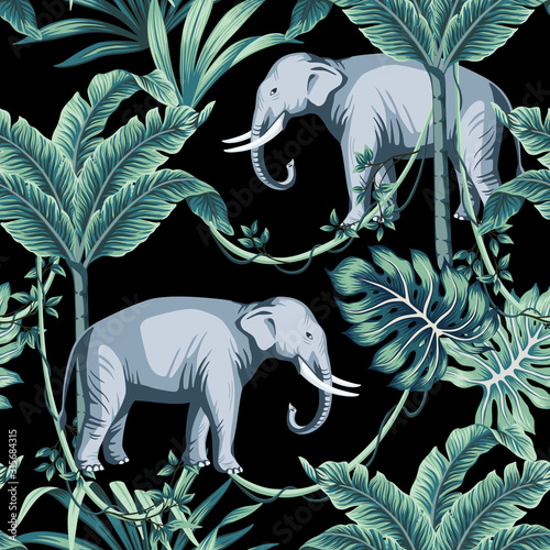 Tropical vintage animal elephant, palm leaves, banana tree, liana floral seamless pattern black background. Exotic jungle wallpaper.