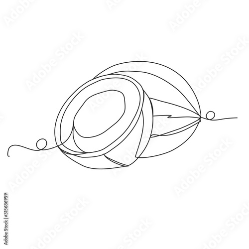 Coconut one line drawing on white isolated background for grocery store, printing on posters and banners
