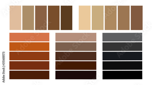 Seth palette of shades of hair color. Hair color tones, palette for coloring.