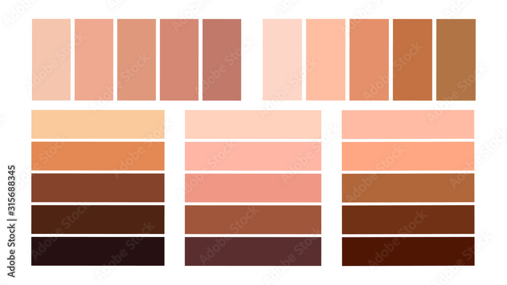 Set color palette for the tone of human skin. Skin tones from light to dark.  Stock Vector | Adobe Stock