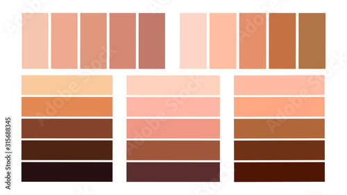 Set color palette for the tone of human skin. Skin tones from light to dark.