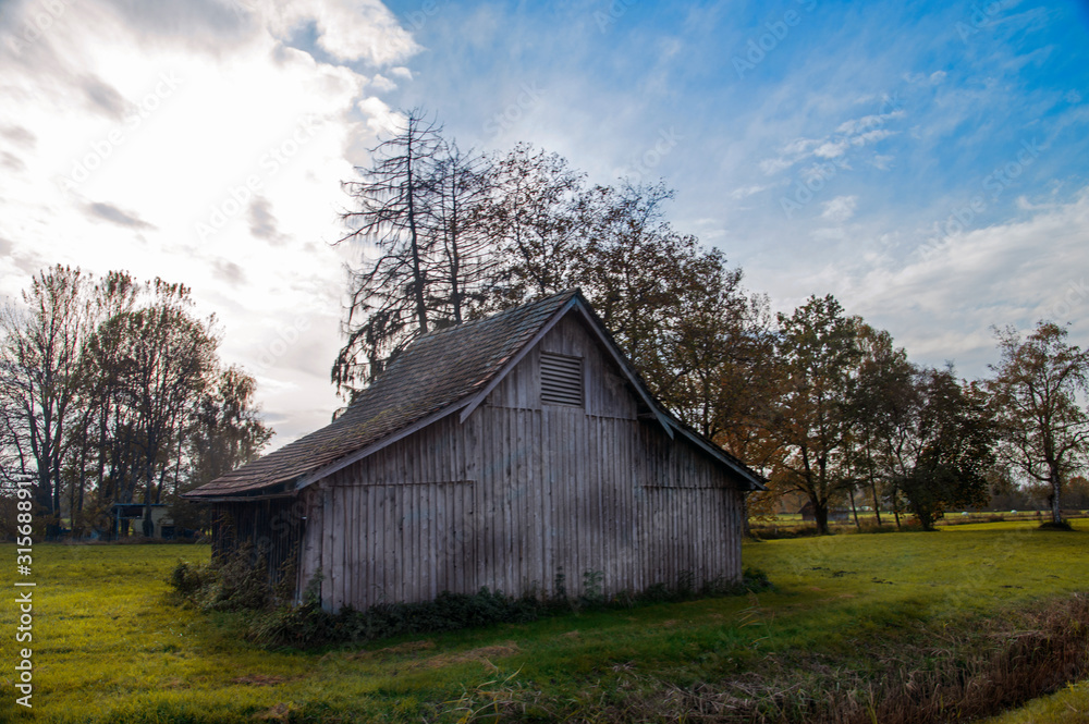 Fototapeta premium Riedhütte im Dornbirner Ried