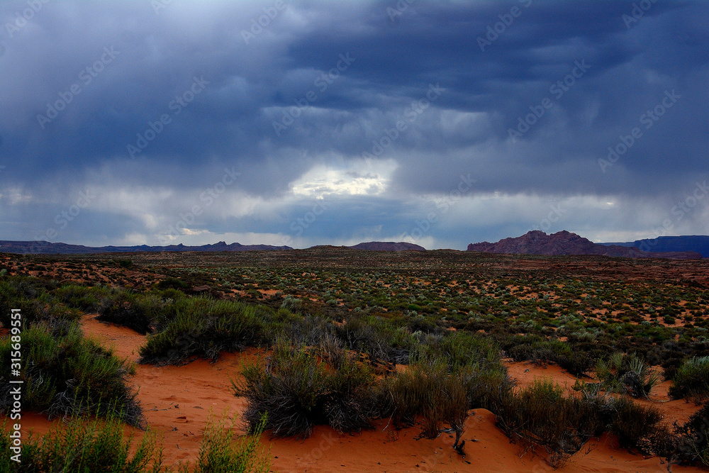 Fototapeta premium A Storm is brewing