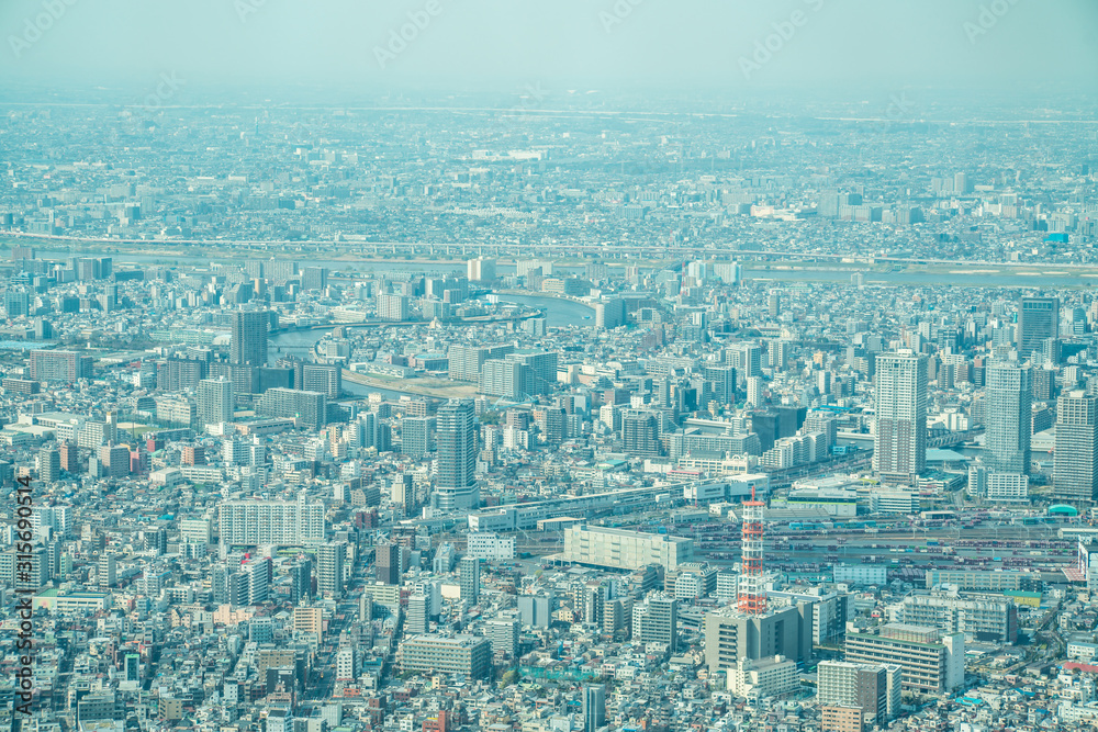 dust during daytime in a very polluted city - in this case Tokyo, Japan. Cityscape of buildings with bad weather from Fine Particulate Matter. Air pollution. dust during daytime in a very polluted city - in this case Tokyo, Japan. Cityscape of buildings with bad weather from Fine Particulate Matter. Air pollution.