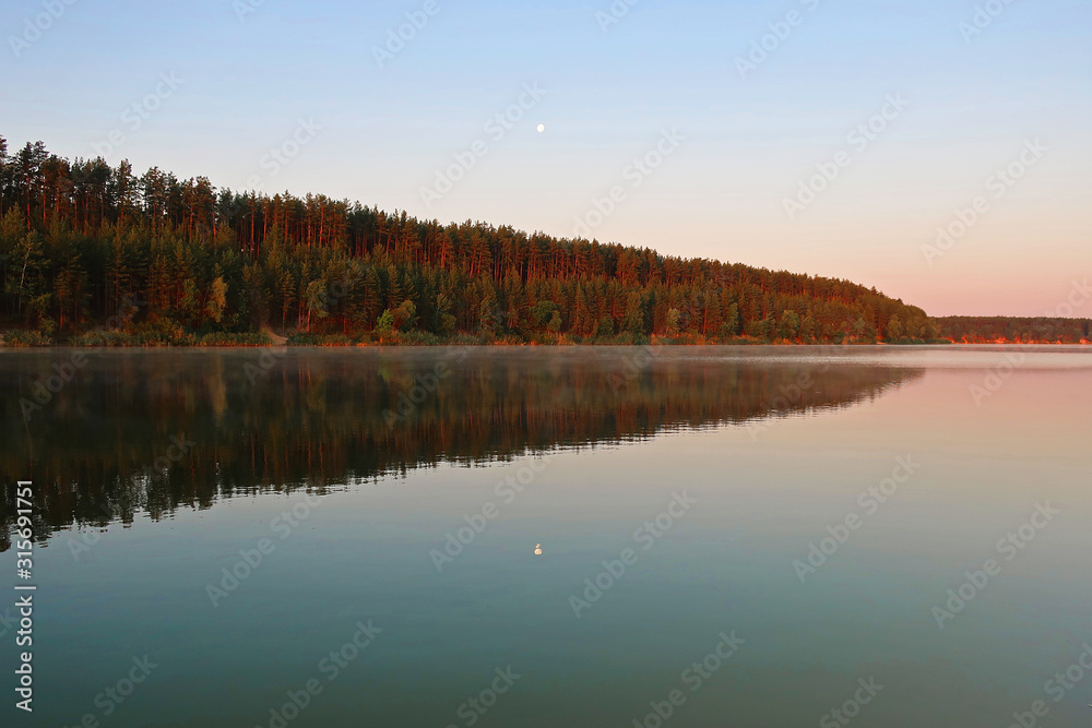 landscape with lake and forest landscape with lake and forest
