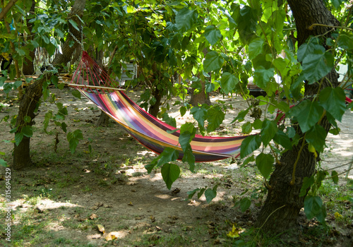 Colorful empty hammock between the trees