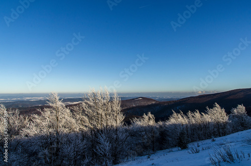 Fototapeta Naklejka Na Ścianę i Meble -  Polonina Dźwiniacka Bieszczady zima  panorama 