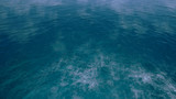 bird view with green ocean by 3D rendering scene
