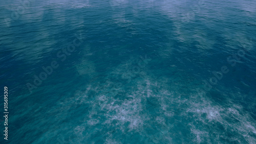 bird view with green ocean by 3D rendering scene