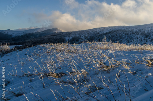 Fototapeta Naklejka Na Ścianę i Meble -  Polonina Dźwiniacka Bieszczady zima  panorama 