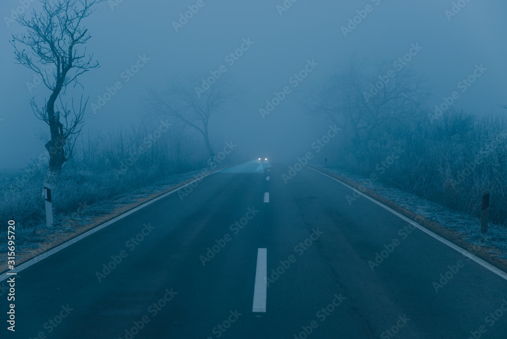 Road into the fog
