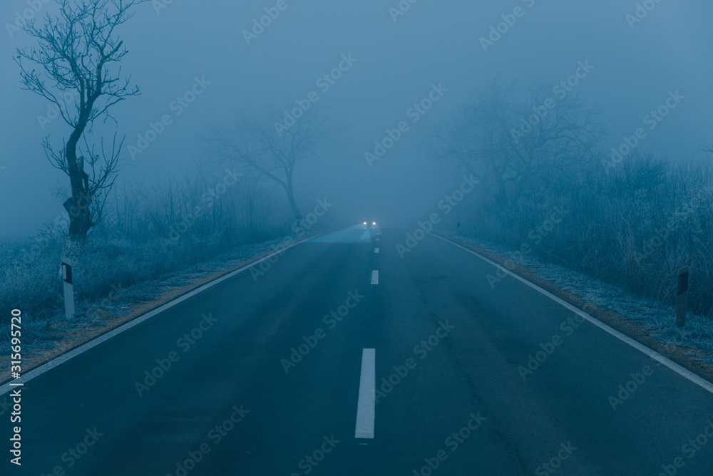 Fototapeta premium Road into the fog