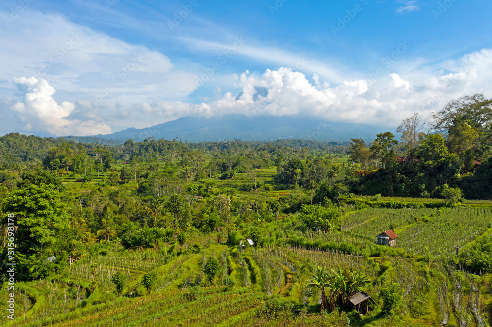 Aerial from rice fields in Sidemen with Mount Agung in the background on Bali Indonesia