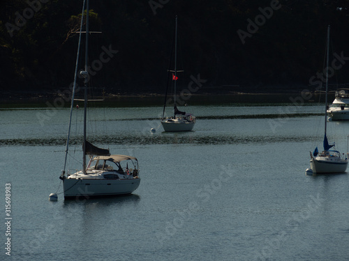 Boats at mooring buoys on Sucia Island photo