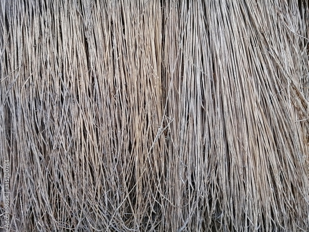 gray background and texture of hanging dry brooms of thin grass outdoors gray background and texture of hanging dry brooms of thin grass outdoors
