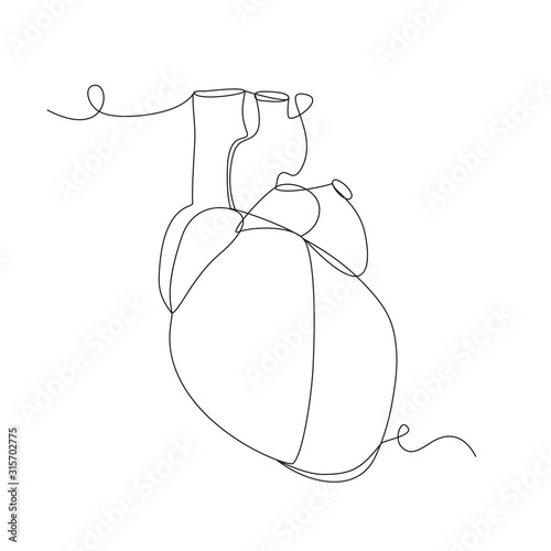 Human heart one line drawing on white isolated background