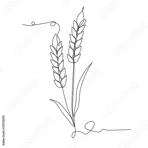 Ears of wheat one line drawing on white isolated background