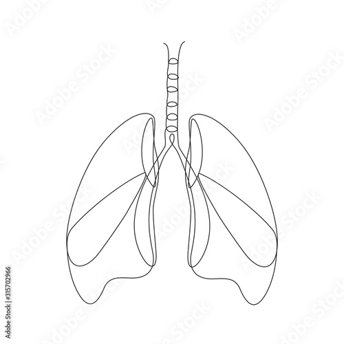 Lungs one line drawing on white isolated background. 