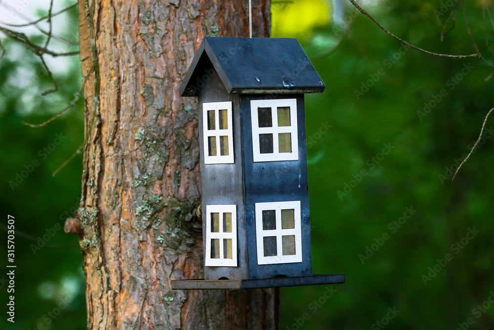 Birdhouse hanging from pine tree in Finnish summer evening