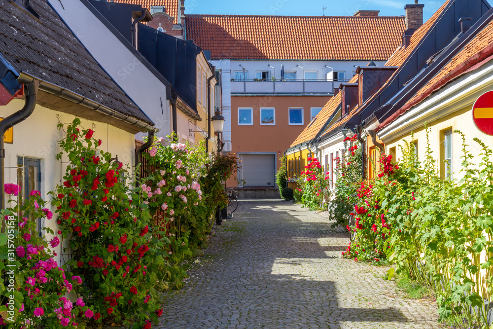 A small town cobble stone street bordered with townhouses and roses and other plants