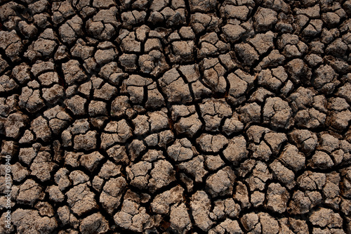 Cracked and dry soil in arid areas landscape, Drought crisis