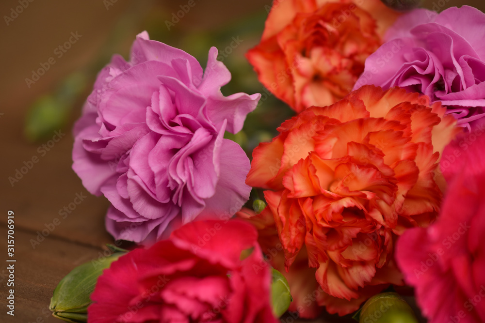 Pink, Orange and Red Carnation Flowers Laying on Wood Tray, Close-Up Pink, Orange and Red Carnation Flowers Laying on Wood Tray, Close-Up