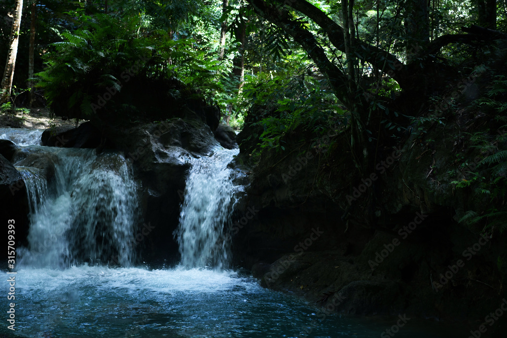 Obraz premium mountain river and waterfall in a tropical forest on the philippine islands
