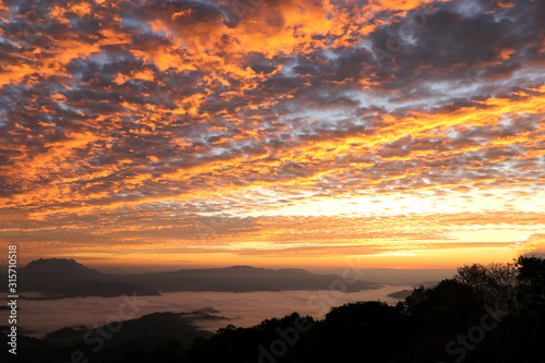 The sky is dense scales and fog before sunrise.