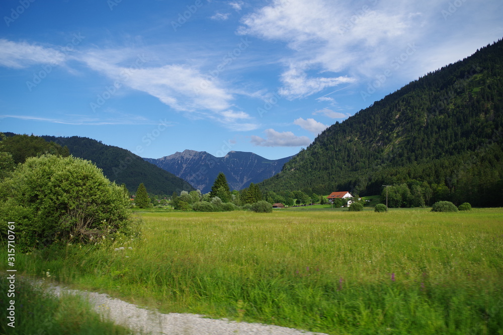 A view on a green meadow with shrubs and forested mountains. It's a sunny summer day and there are few clouds in the blue sky. In the distance, we can see few rural buildings. 