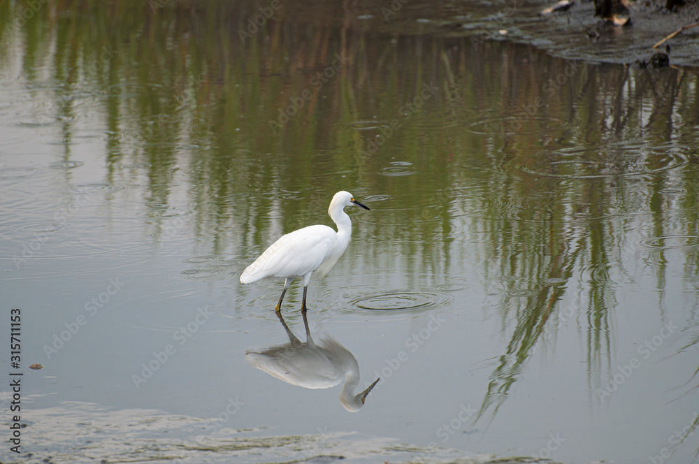 Posing Reflection Posing Reflection