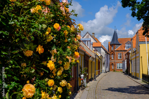Denmark, Jutland, Ribe, Old town alley in spring