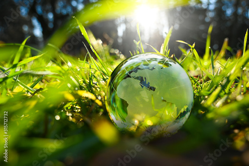 New year green glass globe sphere earth ball europe and asia world with green leaves and morning sunlight in forest - sustainable environment and ecology earthball. photo