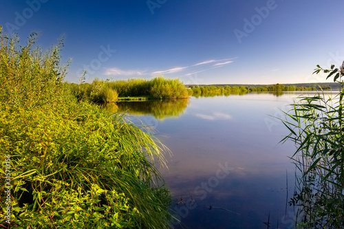 Beautiful view of lake with shore overgrown with reeds in sunny day. Rest in nature.