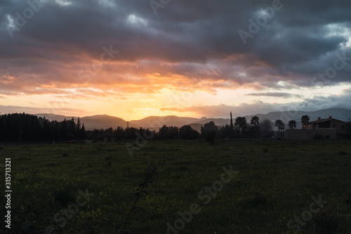 Orange sunset on a green field