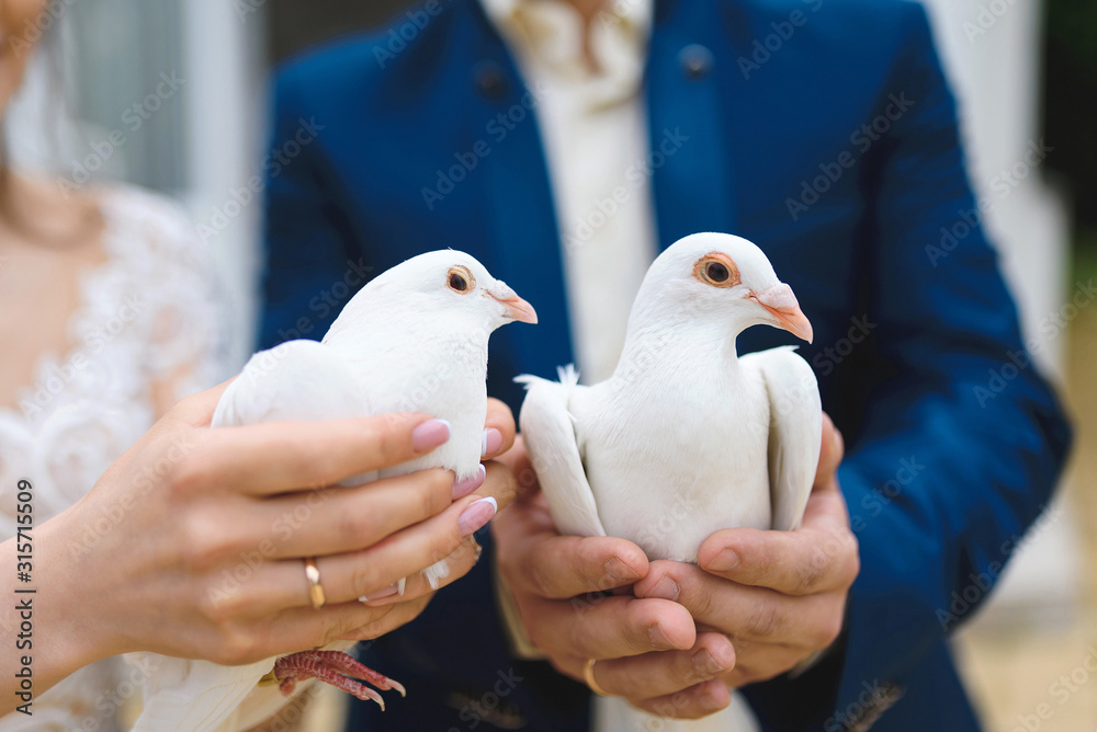 newlyweds holding pigeons