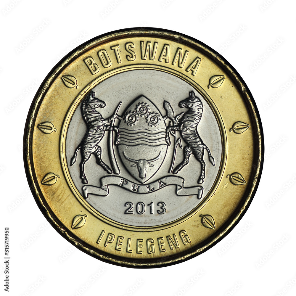 five botswana pot with insect