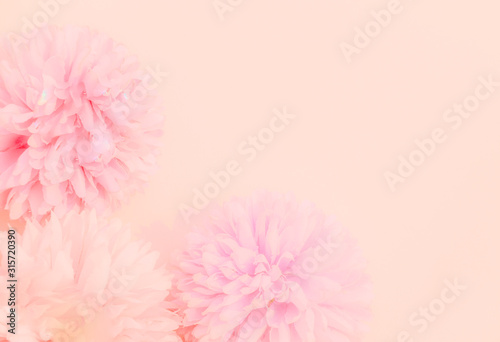Beautiful abstract color orange purple and pink flowers on white background and white flower frame and pink leaves texture, light pink background, colorful banner happy valentine