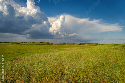 Low lands along the beach leading off to the sand dunes along the shores of rural Prince Edward Island, Canada. © V. J. Matthew