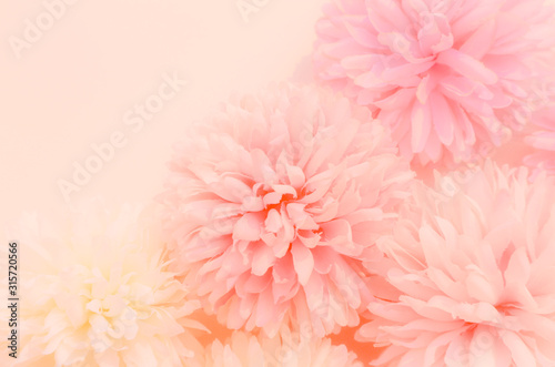 Fototapeta Naklejka Na Ścianę i Meble -  Beautiful abstract color orange purple and pink flowers on white background and white flower frame and pink leaves texture, light pink background, colorful banner happy valentine