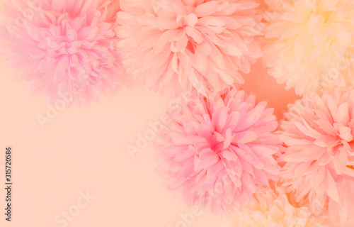 Beautiful abstract color orange purple and pink flowers on white background and white flower frame and pink leaves texture, light pink background, colorful banner happy valentine