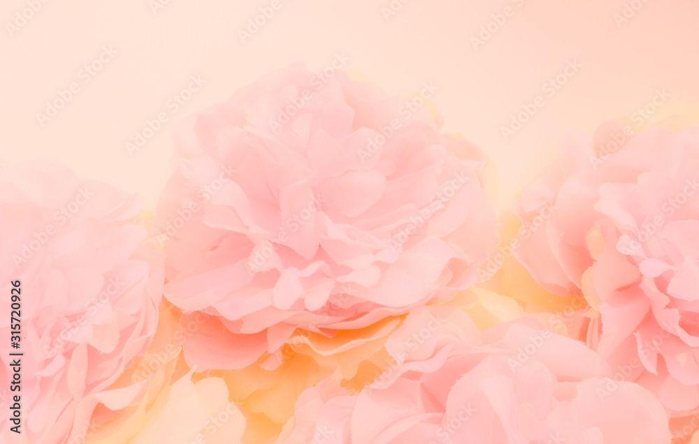 orange flowers on light pink background, beautiful floral